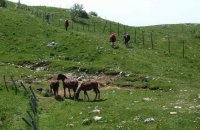 2008-rim-04-tn.jpg, 4,0kB